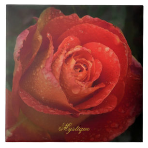 Mystique Dark Botanical Red Orange Rose Fliese