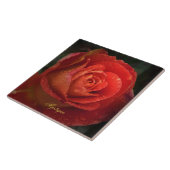 Mystique Dark Botanical Red Orange Rose Fliese (Seite)
