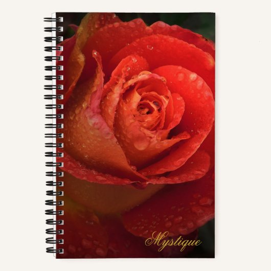 Mystique Dark Botanical Red Orange Rose Journal Notizblock (Vorderseite)