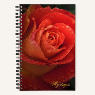 Mystique Dark Botanical Rote Orangenrose Journal Notizblock