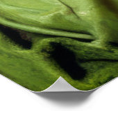 Mystique in Grace #099: Der Reiz der Verzauberung Poster (Ecke)