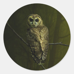 Mystique Owl Runder Aufkleber