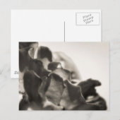 Mystisch Postkarte (Vorne/Hinten)