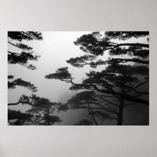 Mystische Bäume - Drucken Poster