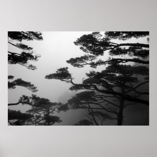 Mystische Bäume - Drucken Poster (Vorne)