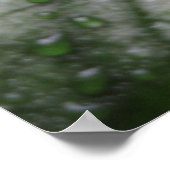 Mystische Blätter (3) Poster (Ecke)