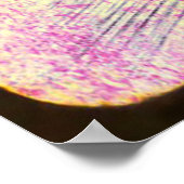 Mystische Frauen und Silhouette der Bäume Poster (Ecke)