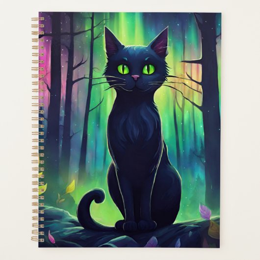 Mystische Katze der Nordlichter Planer (Vorderseite)