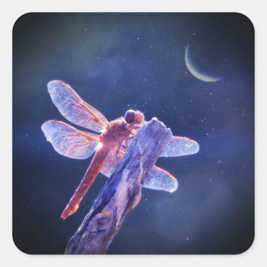 Mystische Libelle und Crescent Moon Quadratischer Aufkleber (Vorderseite)