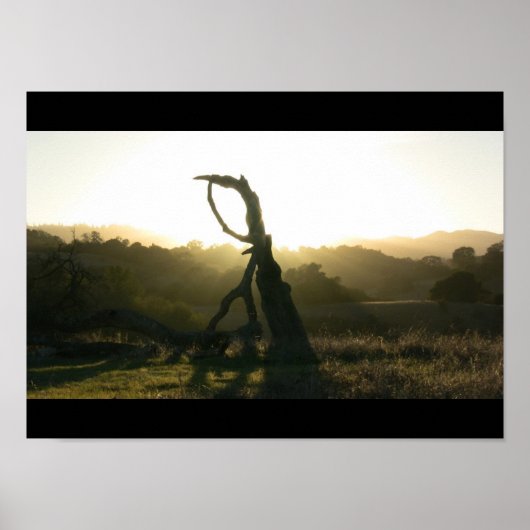 Mystische Offenbarung - Poster (Vorne)