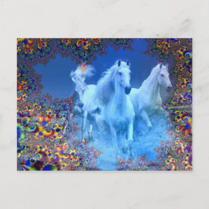 Mystische Pferde Postkarte