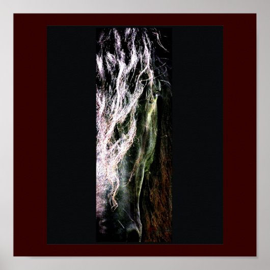 Mystische Pferdedrucke Poster (Vorne)