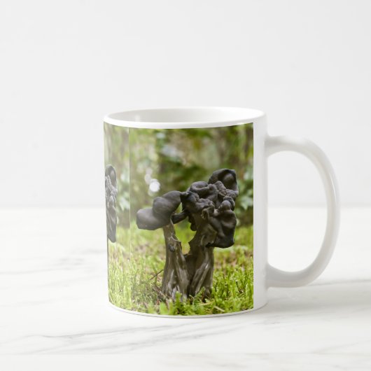 Mystische Pilze Kaffeetasse (Rechts)