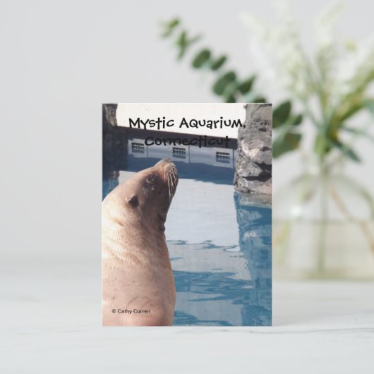 Mystische Postkarte (Stehend Vorderseite)