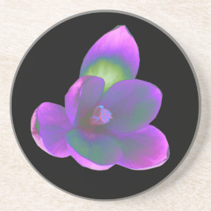Mystische Schönheit Krokus-Blumen-Untersetzer Sandstein Untersetzer