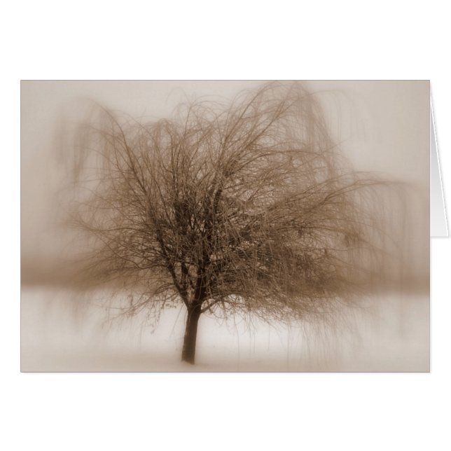 Mystische Träume (Vorderseite (Horizontal))