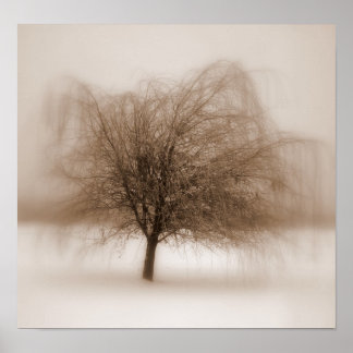 Mystische Träume Poster