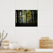 Mystische Woods in der Quechee-Schlucht Poster (Küche)