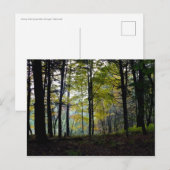 Mystische Woods in der Quechee-Schlucht Postkarte (Vorne/Hinten)