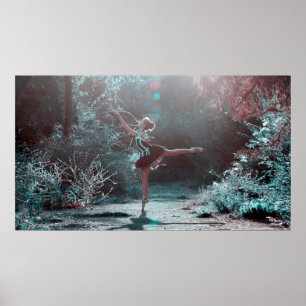 Mystischer Ballett-Tänzer im mattierten Poster