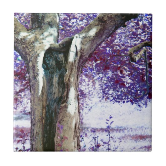 Mystischer Baum Fliese (Vorderseite)