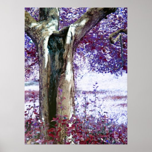 Mystischer Baum Poster (Vorne)