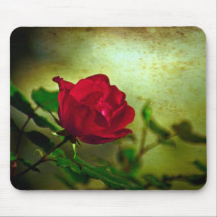 Mystischer Garten Gothic Valentinstag Rote Rose Mousepad