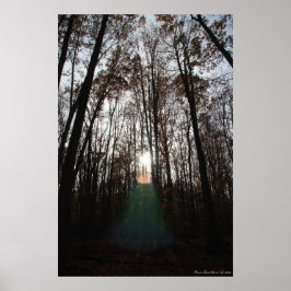 Mystischer Geist des Waldes Print #015 Poster