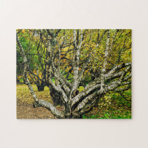 Mystischer, knorriger karelischer Birkenbaum Puzzle