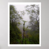 Mystischer Morgen auf Appalachian Trail Poster (Vorne)