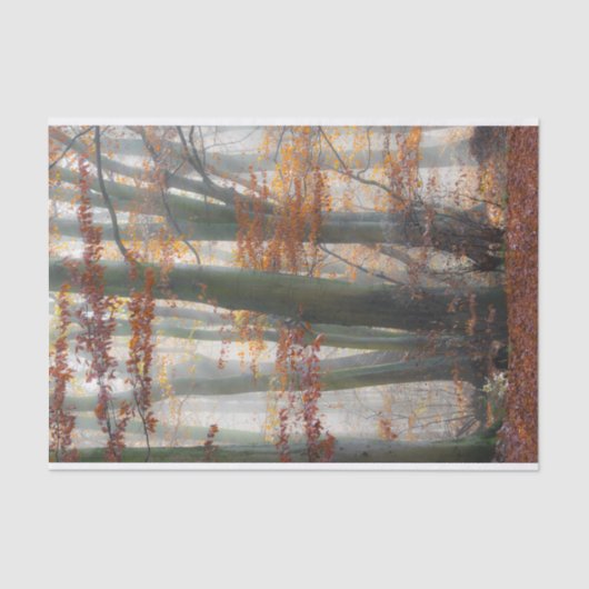 Mystischer nebeliger Wald im Herbst Seidenpapier (Vorderseite)