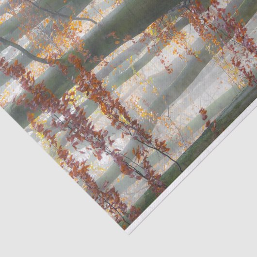 Mystischer nebeliger Wald im Herbst Seidenpapier (Ausschnitt)