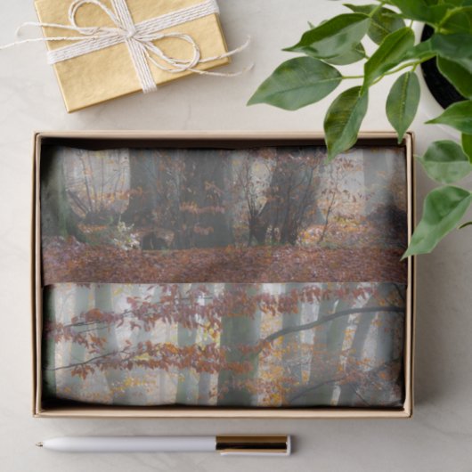 Mystischer nebeliger Wald im Herbst Seidenpapier (Geschenk)