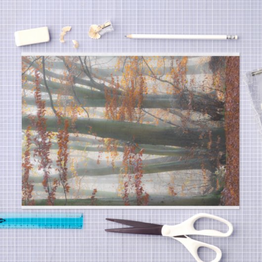 Mystischer nebeliger Wald im Herbst Seidenpapier (Handwerk)