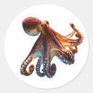 Mystischer Ozean-Oktopus - Künstlerisches Tiefseet Runder Aufkleber
