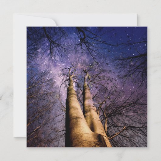 Mystischer Wald Karte (Vorderseite)