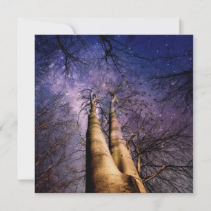 Mystischer Wald Karte