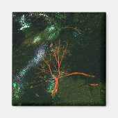 Mystischer Wald... Magnet (Vorne)