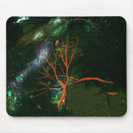 Mystischer Wald... Mousepad (Vorne)