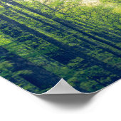 Mystischer Wald Poster (Ecke)