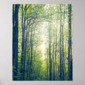 Mystischer Wald Poster (Vorne)