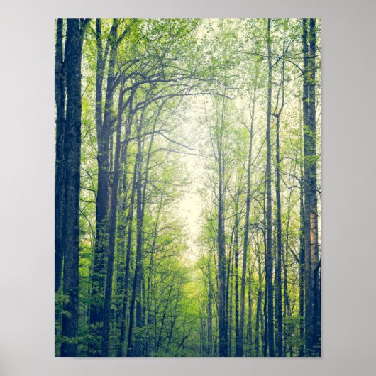 Mystischer Wald Poster (Vorne)