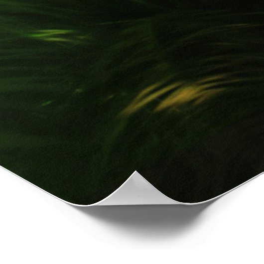 Mystischer Wald Poster (Ecke)