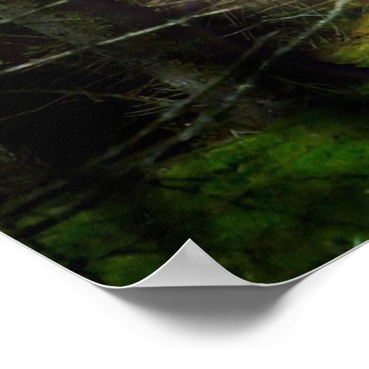 Mystischer Wald Poster (Ecke)