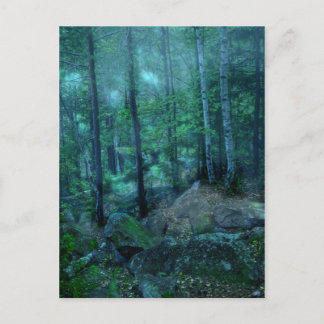Mystischer Wald Postkarte