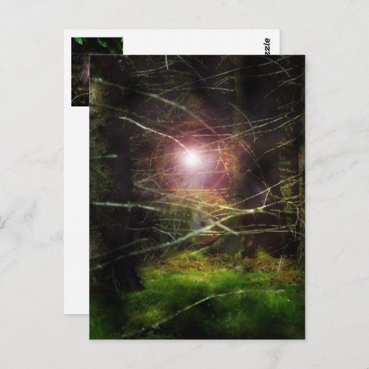 Mystischer Wald Postkarte (Vorne/Hinten)