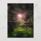 Mystischer Wald Postkarte (Vorderseite)