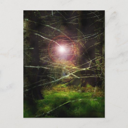 Mystischer Wald Postkarte (Vorderseite)