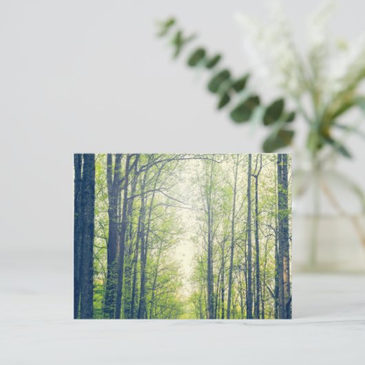 Mystischer Wald Postkarte (Stehend Vorderseite)