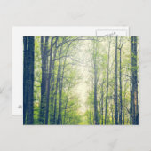 Mystischer Wald Postkarte (Vorne/Hinten)
